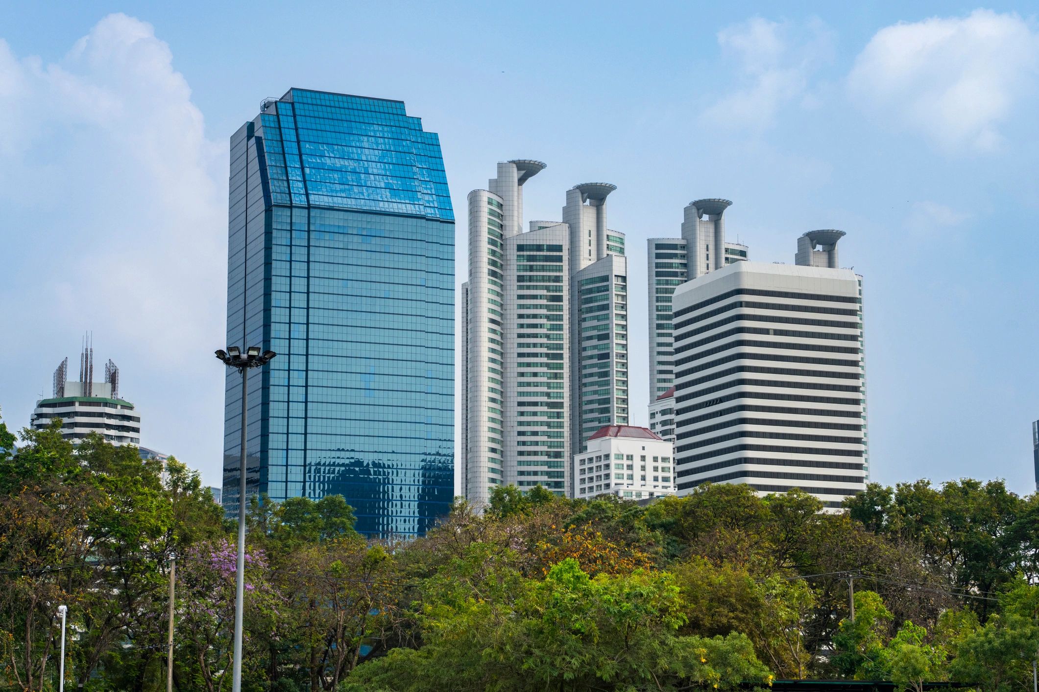 Urban skyline with modern buildings and a green park