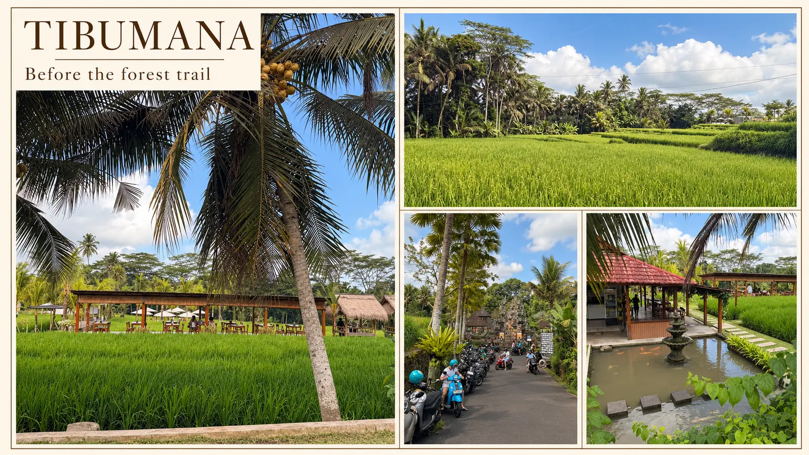 Editorial collage of rice fields, palms, approach road and pond near Tibumana
