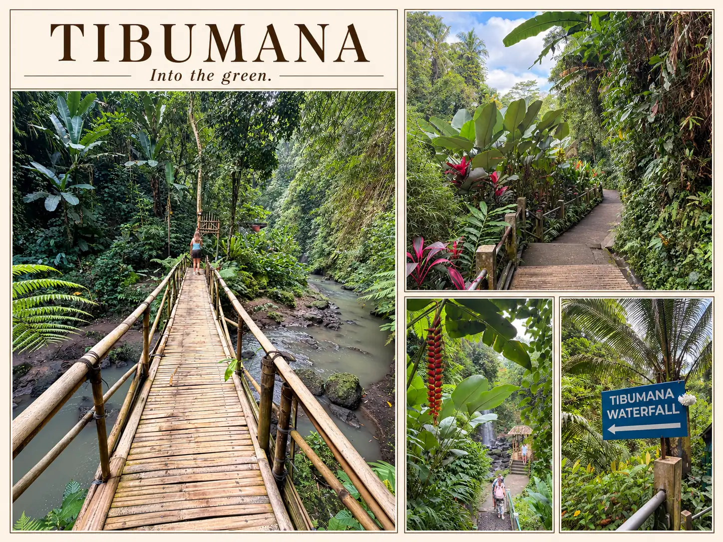 Bamboo footbridge along the forest trail to Tibumana Waterfall