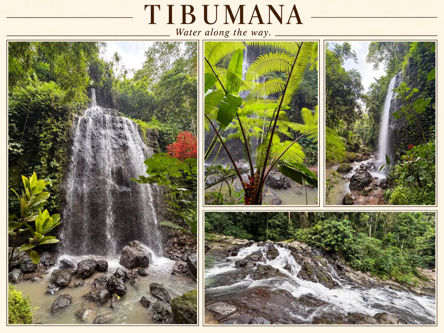 Editorial collage of cascades, fern fronds and rocky streams from the Tibumana visit