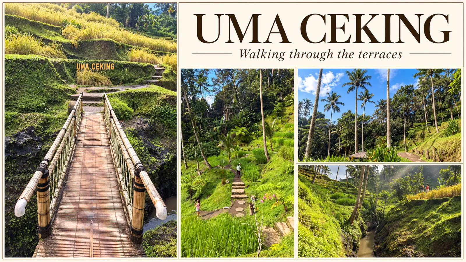 Editorial collage showing a bamboo bridge, stone paths and a water channel among the rice terraces